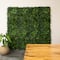 20" x 40" Andean Cloud Forest Artificial Living Wall Panel
